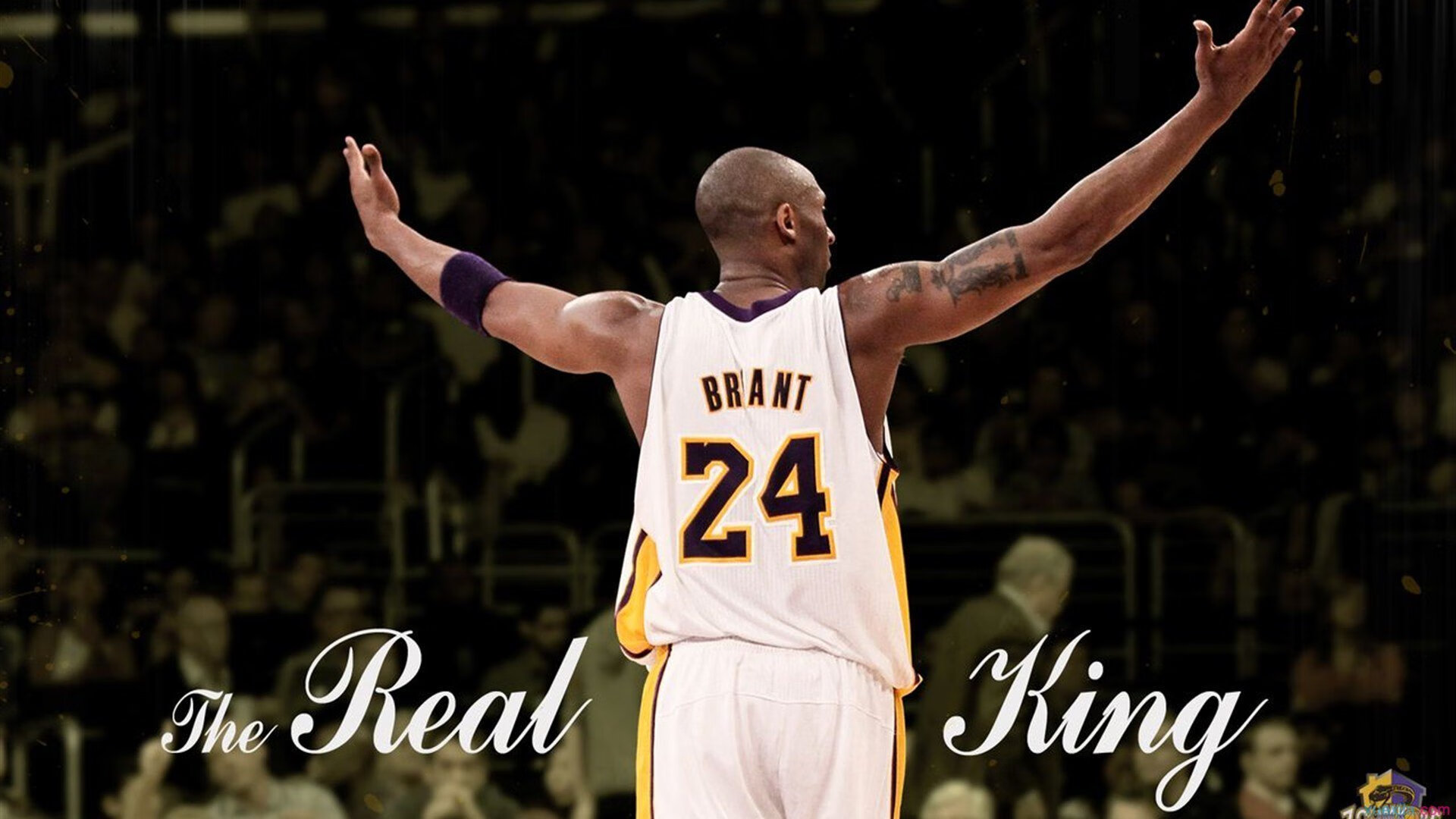 中超俱乐部主场氛围评分排名,中超足球队的主场